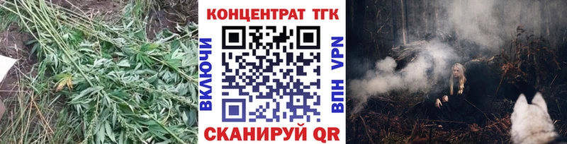 Дистиллят ТГК гашишное масло  kraken зеркало  Белый  где найти  